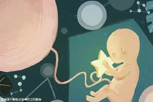 IVF实验室